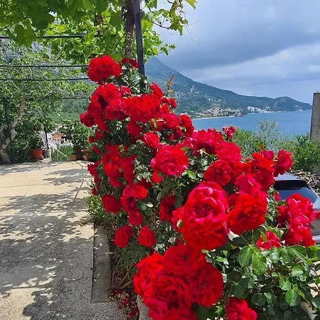 Cosic Appartement Igrane