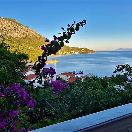 Apartament ćosić *